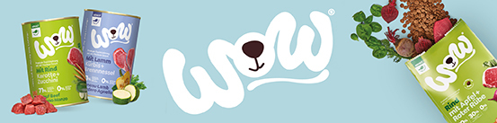 20230706_WOW_BRANCHEN_FORUM_BANNER