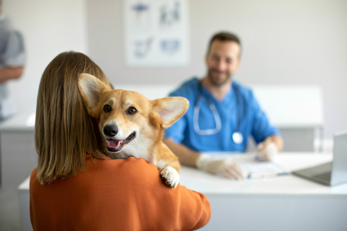 Canosept & Panda Hausapotheke zur Gesundheit Ihres Hundes