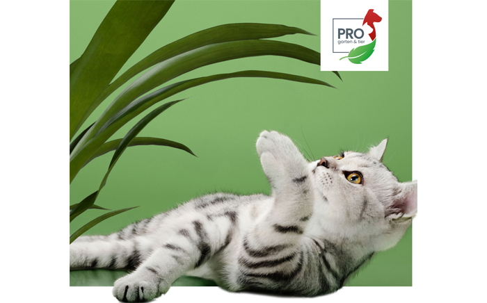 sagaflor1 Die Pro Garten & Tier findet vom 21. bis 22. September in Kassel statt.