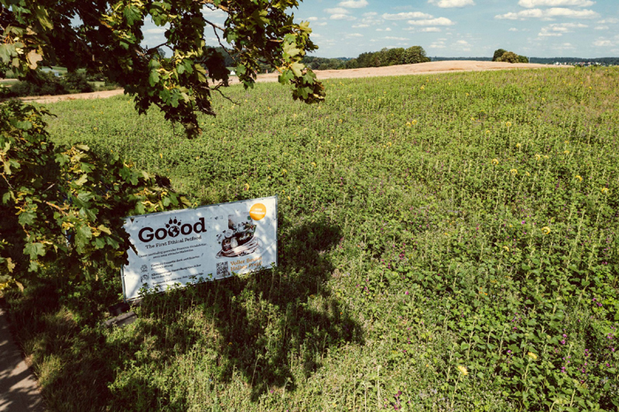 interquell Die Goood-Bienenweide bietet Wildtieren, Vögeln und Insekten einen größeren Nahrungs-, Brut- und Rückzugsraum.