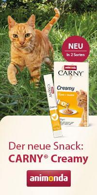 230922_CARNY_Creamy_200x400[83]