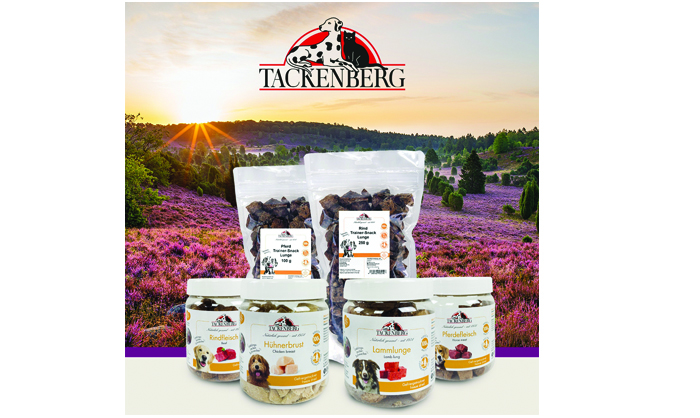 tackenberg tackenberg