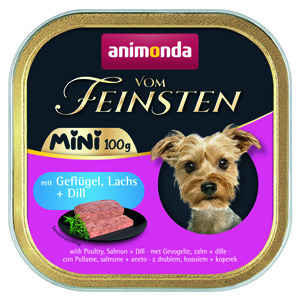 animondanov animondanov