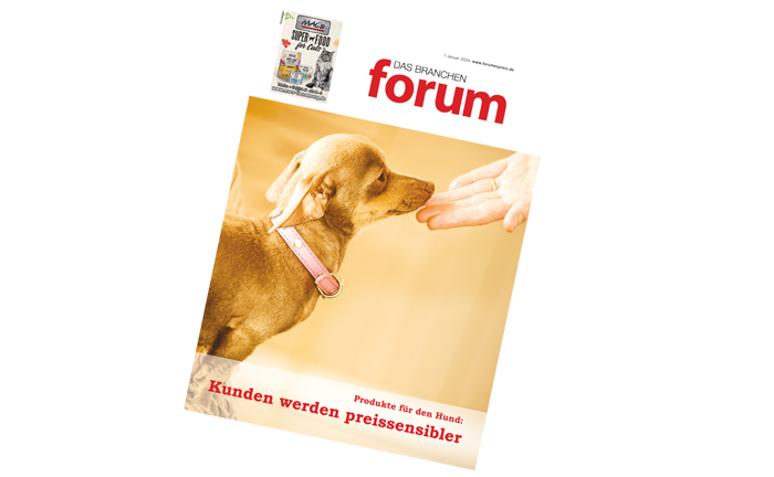 Die Januar-Ausgabe des BRANCHEN forum beschäftigt sich schwerpunktmäßig mit Produkten für Hunde.