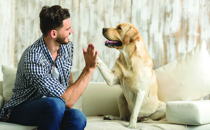 happy guy sitting on a sofa and looking at dog Tiere sind immer häufiger Ersatz für menschliche Beziehungen. Bild: Adobe Stock