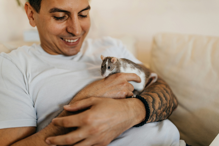 Handsome tattooed man with his mice friend Der ZZF kürt die Farbratte zum Heimtier des Jahres.
