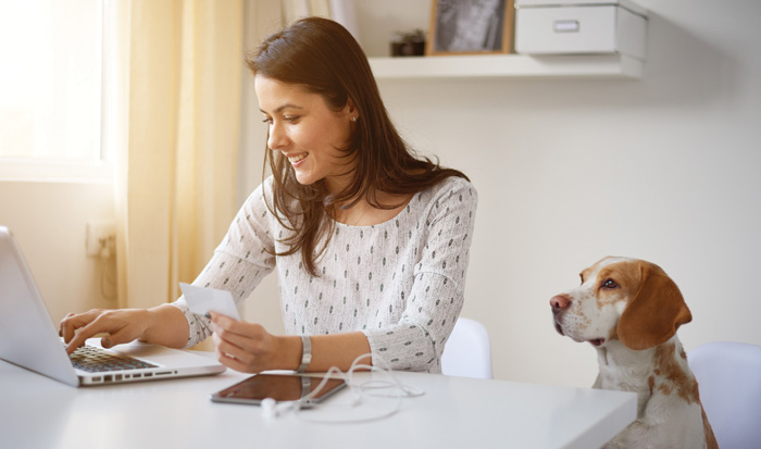 bevh5 Der Onlinehandel mit Tierbedarf wuchs im vergangenen Jahr um 5,4 Prozent. Bild: Adobe Stock