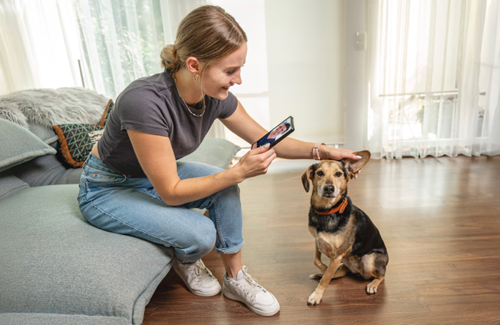 haustierdogs Das Futterhaus kooperiert mit HaustierDocs.de. Foto: HaustierDocs by TierDocs24 GmbH