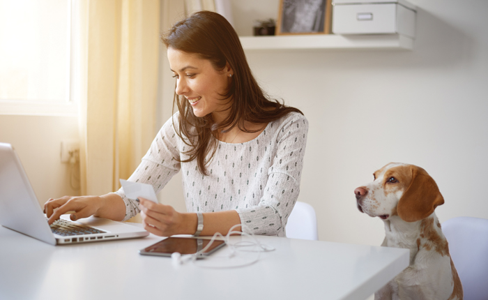 kollegehund4 Hunde am Arbeitsplatz – das ist am 5. Juni anlässlich des Aktionstages Kollege Hund bundesweit wieder in vielen Unternehmen möglich. Bild: Adobe Stock