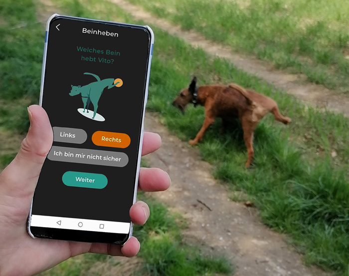 uni1 Mit der WAU-App können Interessierte das Verhalten ihrer Hunde dokumentieren und so zur Forschung über Persönlichkeit und Wohlergehen beitragen. Bild: Universität Münster