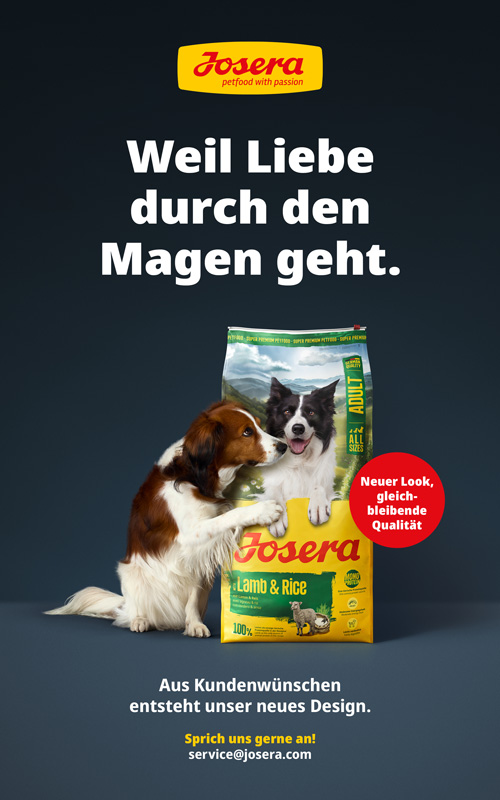 DTS-4613_AZ_Jos_Dog_Relaunch_Branchenforum_Banner_500x800_RZ