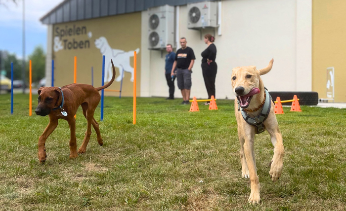 hundespielplatz1 Die Franchisepartner Chris und Marvin Niermann setzten das Projekt mit viel Eigenleistung um. Bild: Sagaflor