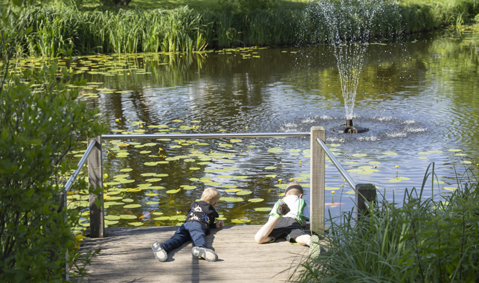 oase25 Oase lädt seine Partner in den Park der Gärten in Bad Zwischenahn ein. Bild: Oase
