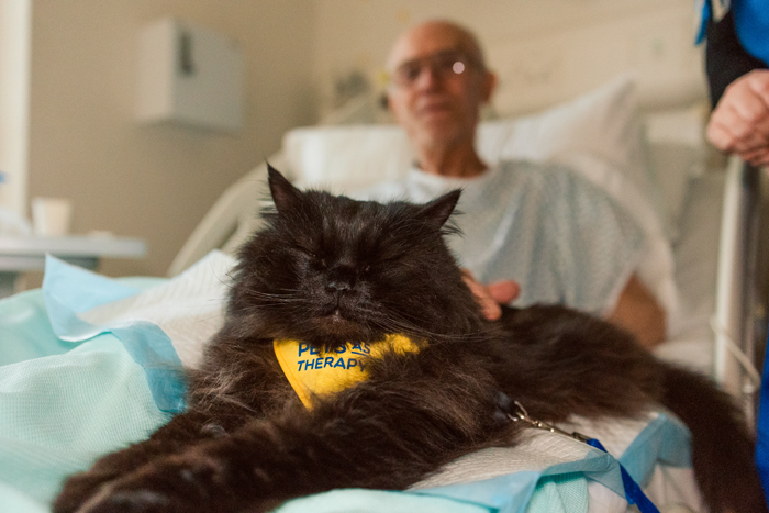 Nestlè Purina Petcare fördert Organisationen, die sich der Kraft der Mensch-Tier-Beziehung widmen. Bild: Purina