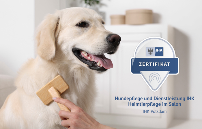 ihkzzf1 Die IHK Potsdam und der ZZF haben eine strukturierte Qualifizierungsmöglichkeit für Hundefriseure geschaffen. Bild: AdobeStock