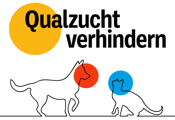 qualzucht1 Der ZZF erklärt auf seiner neuen Kampagnenseite, wie eine Qualzucht verhindert werden kann. Bild: ZZF