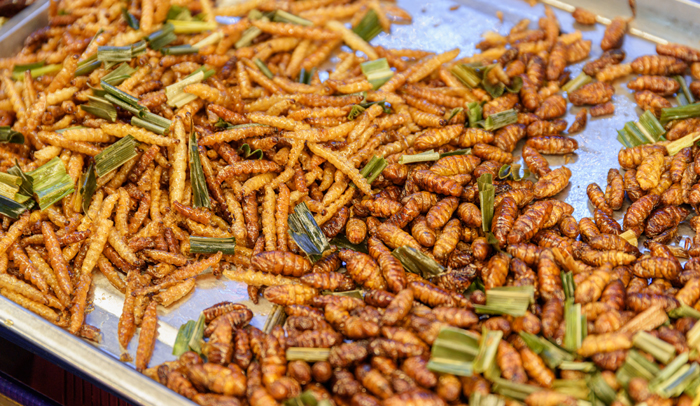 Roasted silk moth pupae at night food market, Chinatown Seidenraupenprotein ist eine hochwertige und gut verdauliche Eiweißquelle. Bild: Adobe Stock