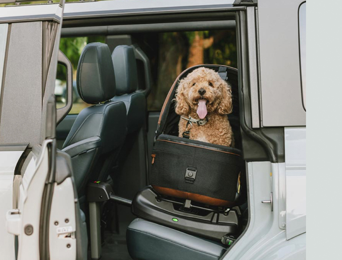 Fast jeder 2. Deutsche hat ein Haustier & ca. die Hälfte sichern es falsch / Tavo Pets Kampagne "Imagine the Impact" Die Sicherheit von Vierbeinern wird von den Besitzern bei Autofahrten, auf dem Weg zum Tierarzt, im Zug oder im Flugzeug oft vernachlässigt. Bild: Tavo Pets