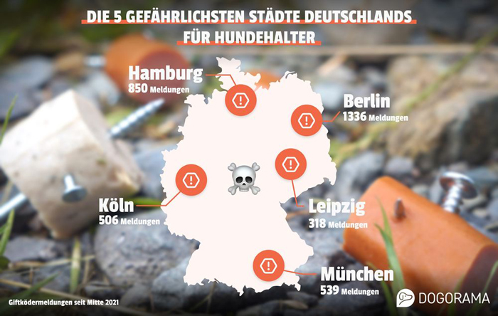 Nicht nur Berlin, auch andere Städte verzeichnen steigende Zahlen. Bild: Dogorama
