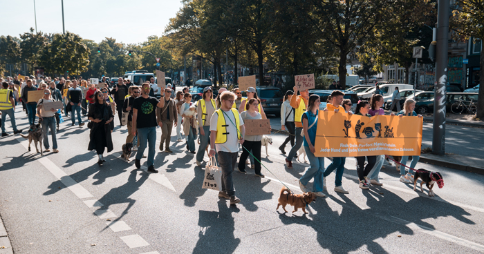 paw1 Wenige Tage vor dem Welttierschutztag machten sich knapp 700 Zwei- und Vierbeiner vom Karo Beach auf den Weg durch die Schanze – mit einer klaren Botschaft: Jeder Hund und jede Katze verdient ein liebevolles Zuhause. Bild: Pedigree