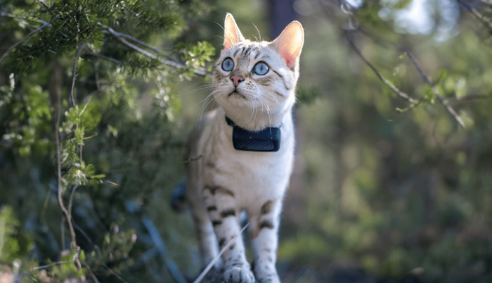 Berechtigte Kunden der Uelzener können jetzt einmal jährlich die Kosten für ihr Tractive-Abonnement erstattet bekommen. Bild: Tractive