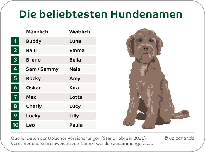 hundenamen1